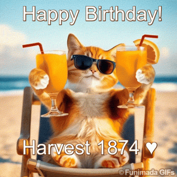 1763819150918.gif