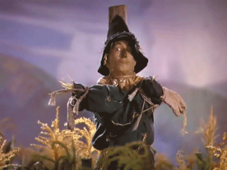 1764021054584.gif