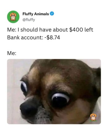 1764029123635.jpeg