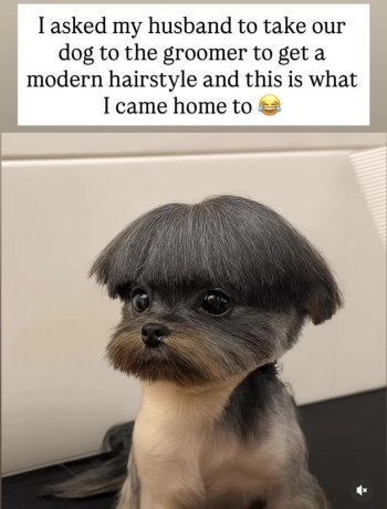 1764029144343.jpeg