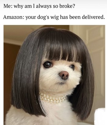 1764029183603.jpeg