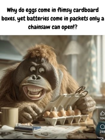 1764029278503.jpeg