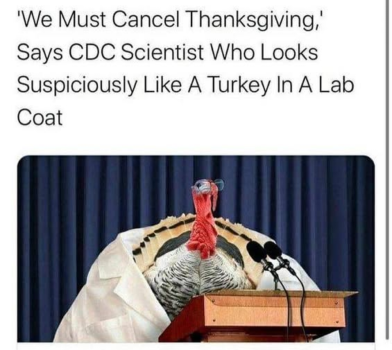 1764051678681.png