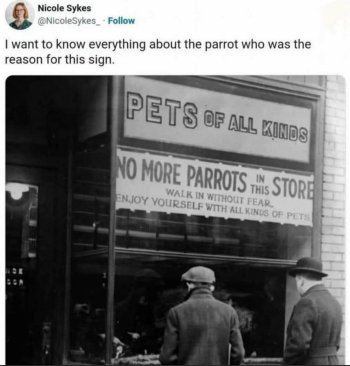 1764129856744.jpeg