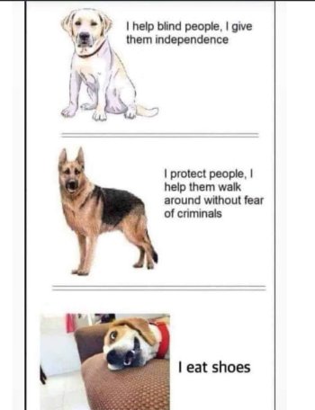 1764190072843.jpeg