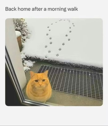 1764357371082.jpeg
