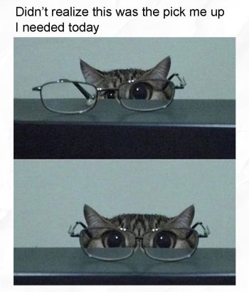1764425619377.jpeg