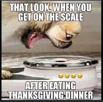 1764714396059.jpeg