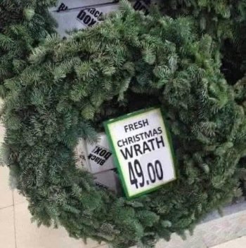 1764738560220.jpeg