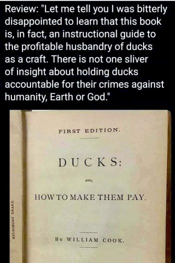 1764813332294.jpeg