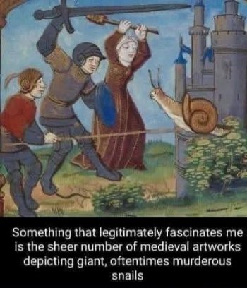 1764903554521.jpeg