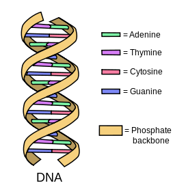 1764911068546.png 1764911068546.png