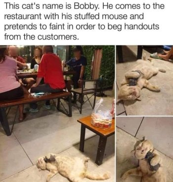 1764911081981.jpeg