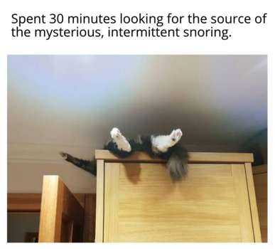 1765018676255.png