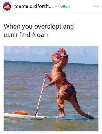1765271914753.jpeg