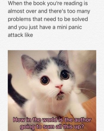 1765279488481.jpeg