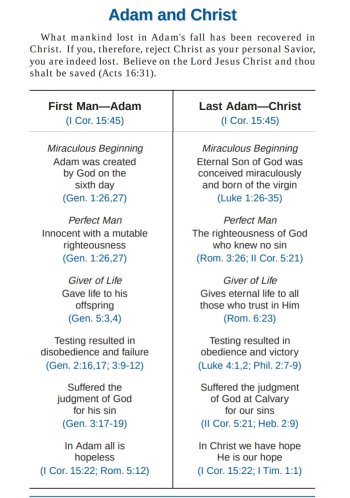 Adam and CHRIST.jpeg