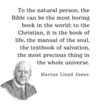 1765427013018.png