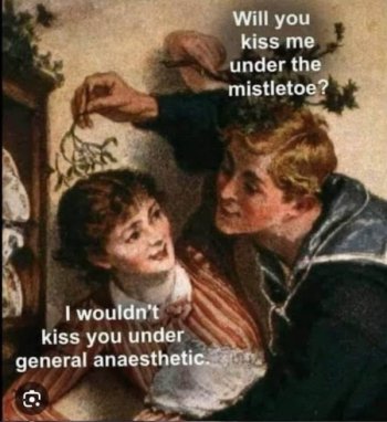 1765681938461.jpeg