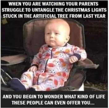1765682151076.jpeg