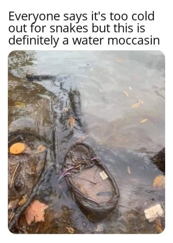 1765777996655.jpeg