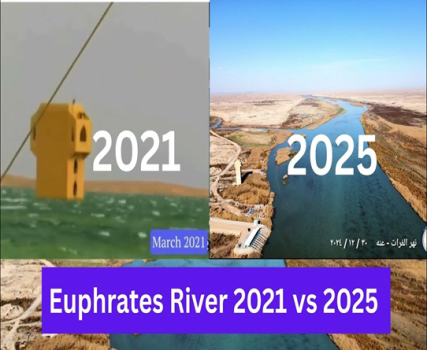 1765919225310.png