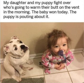 1766001126790.jpeg