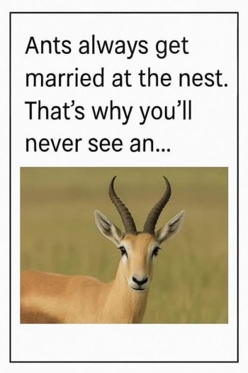 1766025393724.jpeg
