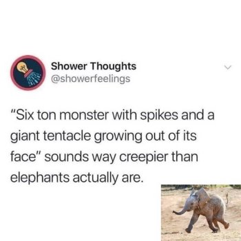 1766080712728.jpeg