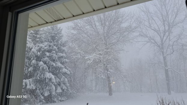 Still snowing.jpg
