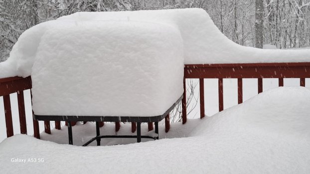 back DECK SNOW.jpg