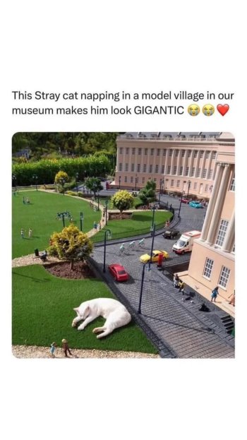 1766249499351.jpeg