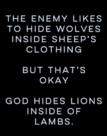 1766259979605.png