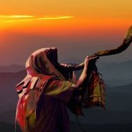 sonofzion