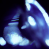element432