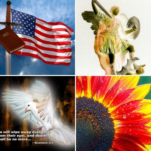 My Stock Photos