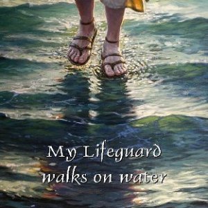 MY LIFEGUARD