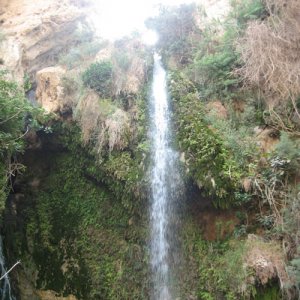 Waterfall at En Gedi