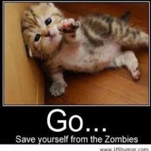 zombies Cat