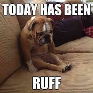 A ruff Day