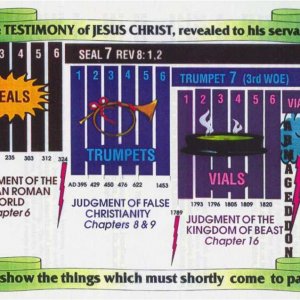 His Testimony.jpg