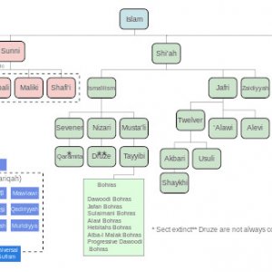 Islam_branches_and_schools