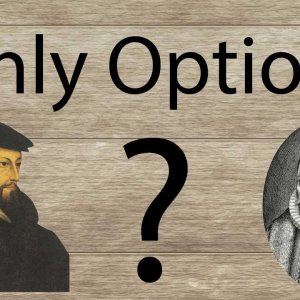Calvinism vs Arminianism: Another Way