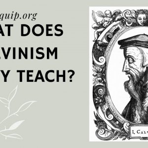 What Does Calvinism really teach? - Hank Hanegraaff