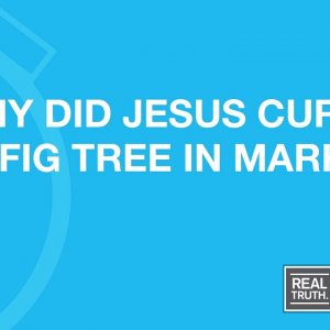 Why Did Jesus Curse the Fig Tree in Mark 11?