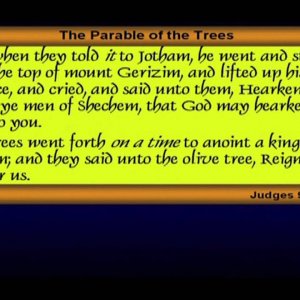 2:36 / 9:31 The Cursed Fig Tree - Chuck Missler