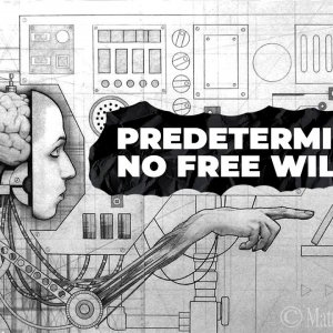 If Everything is Determined How Can We Have Free Will?