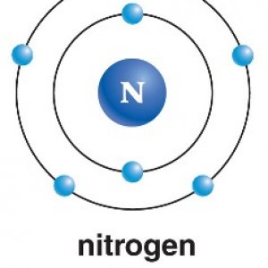 Nitrogen