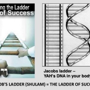 Jacob's Ladder