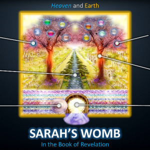 Sarah's Womb